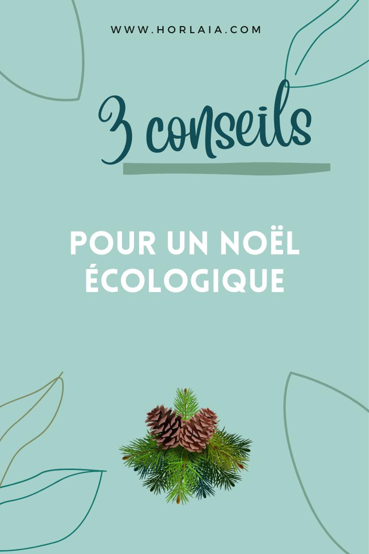 Pomme de pain noel ecologique