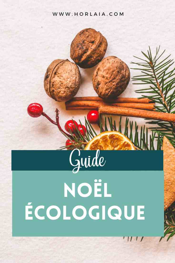 Orange noel ecologique