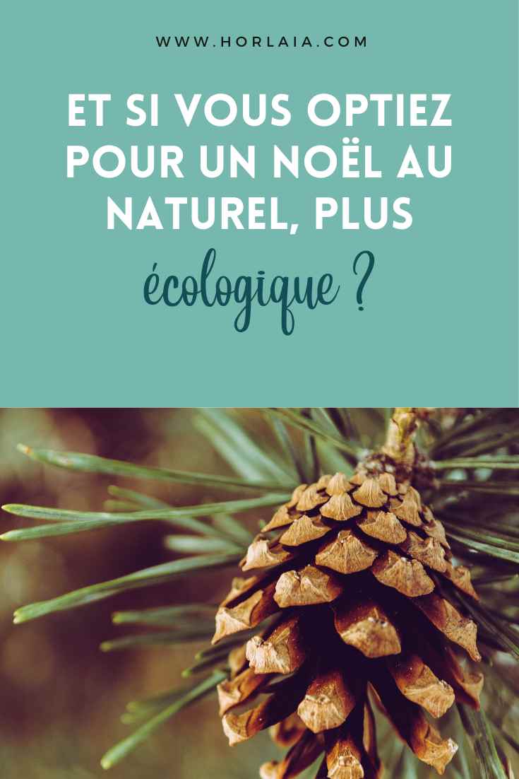 Sapin noel ecologique